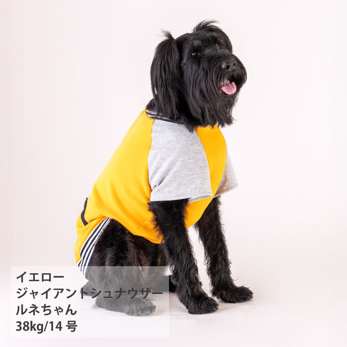 【スタイプレゼント対象商品】小型～超大型 ダックス 胴長 [全25size展開]<br>スタジャン - VERY-PET