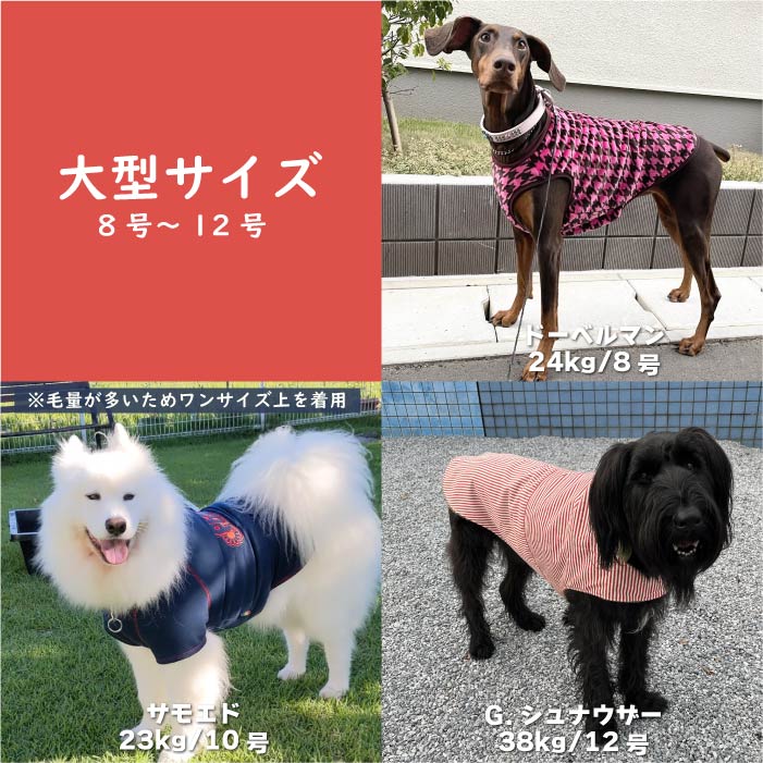 Web限定福袋<br>大型犬4枚入<br>冬服・男女混合デザイン<br>※返品 交換不可 - VERY-PET