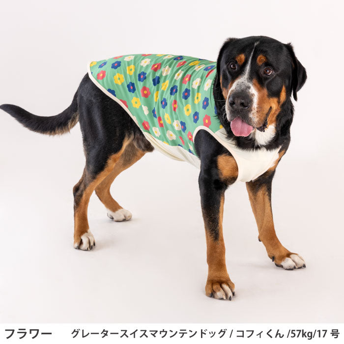 小型～超大型 ダックス 胴長 [全29size展開]<br>プリントクールタンク フラワー - VERY-PET