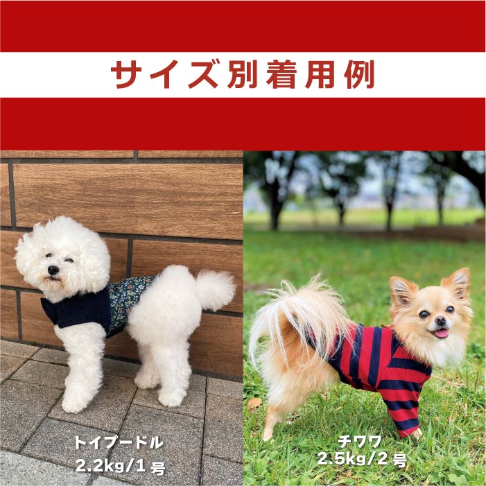 Web限定福袋<br>小型犬8枚入<br>冬服・男女混合デザイン<br>※返品 交換不可