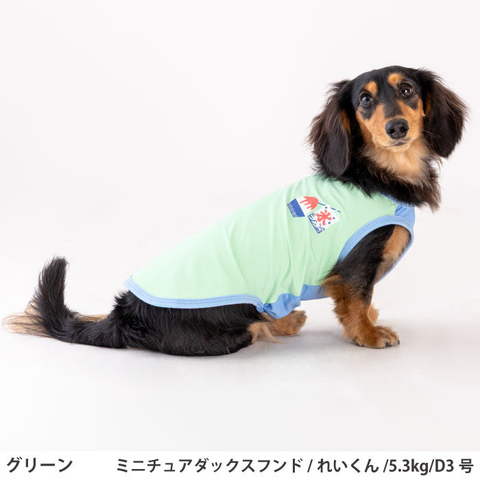 小型～超大型 ダックス 胴長 [全24size展開]<br>光るプリントクールタンク グリーン - VERY-PET