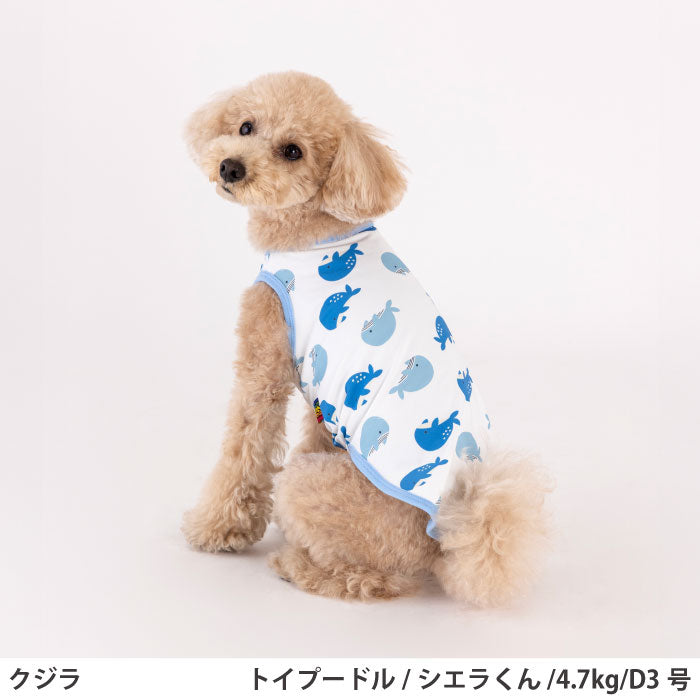 小型～超大型 ダックス 胴長 [全29size展開]<br>プリントクールタンク クジラ - VERY-PET