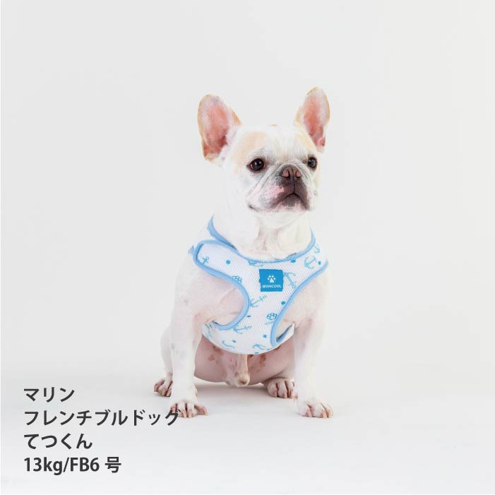 <font size="2">フレブル・パグ [全26size展開]</font><br>熱中症対策に！専用やわらか保冷剤付<br>ワンクールベスト - VERY-PET