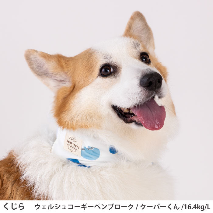 全犬種対応 全5size<br>熱中症対策に！専用やわらか保冷剤付<br>接触冷感 クールバンダナ - VERY-PET