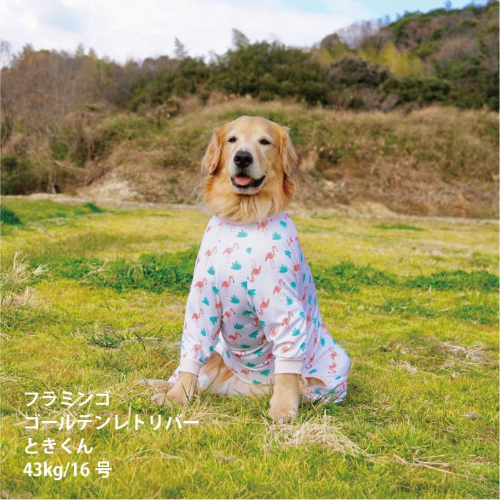 <font size="2">小型～超大型 ダックス 胴長 [全33size展開]</font><br>ポップクールロンパース フラミンゴ - VERY-PET