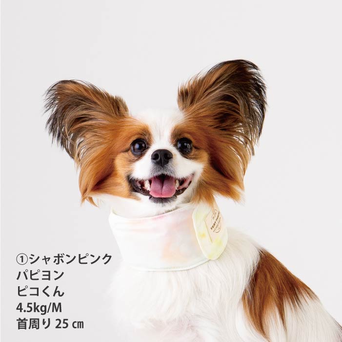 熱中症対策に！専用やわらか保冷剤付<br>保冷剤なしでもヒンヤリ！プリントCOOLバンダナ - VERY-PET