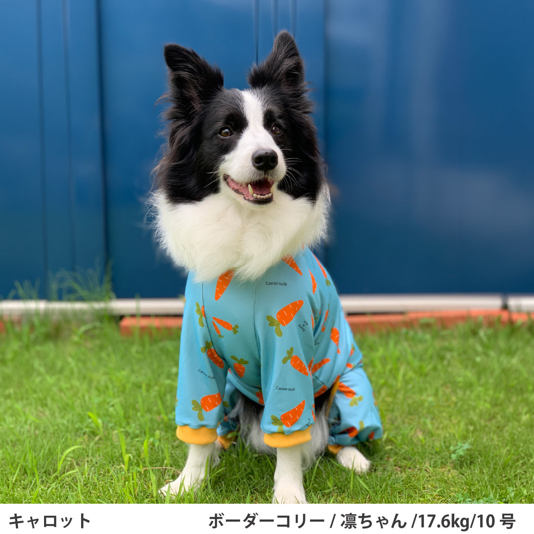 小型～超大型 プリント裏毛ロンパース