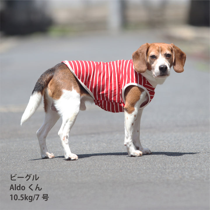 犬服 春夏福袋 小型犬6枚入
