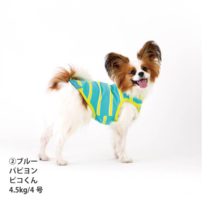 <font size="2">小型～超大型 ダックス 胴長 [全26size展開]</font><br>コットンボーダータンクトップ - VERY-PET