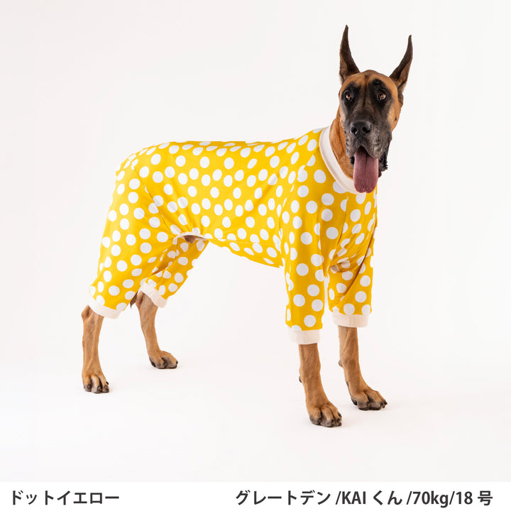 小型～超大型 ドットプリント裏毛ロンパース