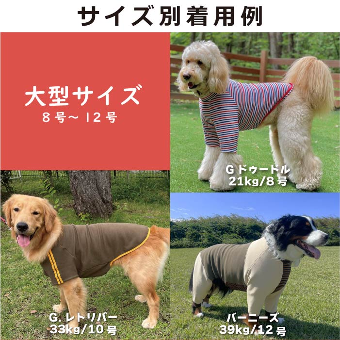 Web限定福袋<br>大型犬4枚入<br>冬服・男女混合デザイン<br>※返品 交換不可 - VERY-PET