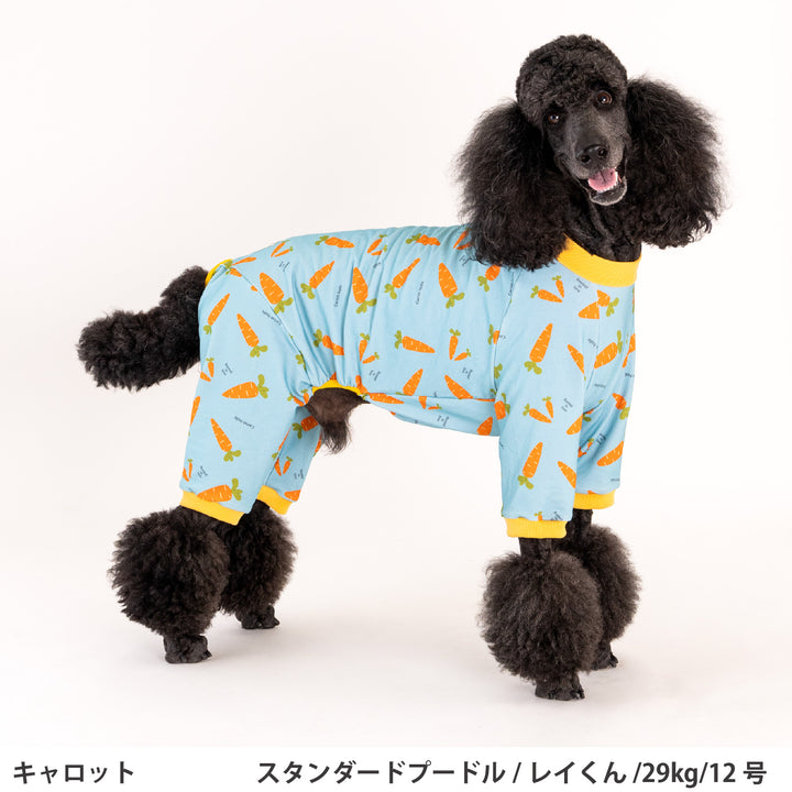小型～超大型 プリント裏毛ロンパース