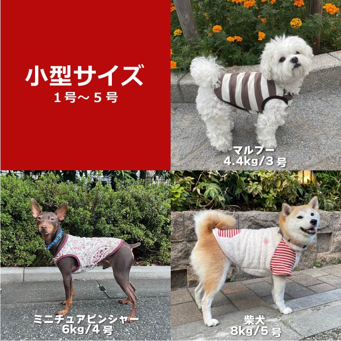 Web限定福袋<br>小型犬8枚入<br>冬服・男女混合デザイン<br>※返品 交換不可