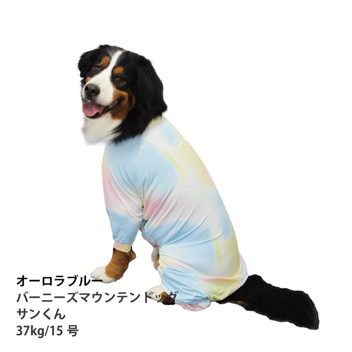 <font size="2">小型～超大型 ダックス 胴長 [全33size展開]</font><br>リラックスクールロンパース オーロラブルー - VERY-PET