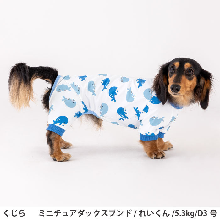 小型～超大型 ダックス 胴長 [全33size展開]<br>プリントクールロンパース クジラ - VERY-PET