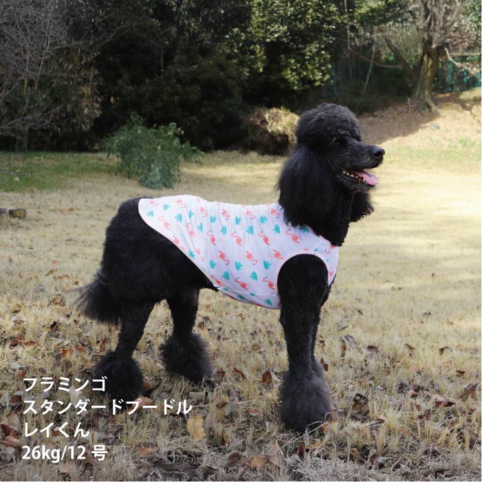 <font size="2">小型～超大型 ダックス 胴長 [全26size展開]</font><br>ポップクールタンクトップ フラミンゴ - VERY-PET