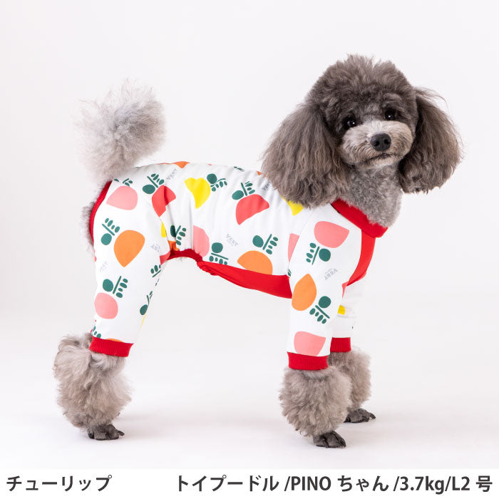 小型～超大型 ダックス 胴長 [全31size展開]<br>プリントクールロンパース チューリップ - VERY-PET