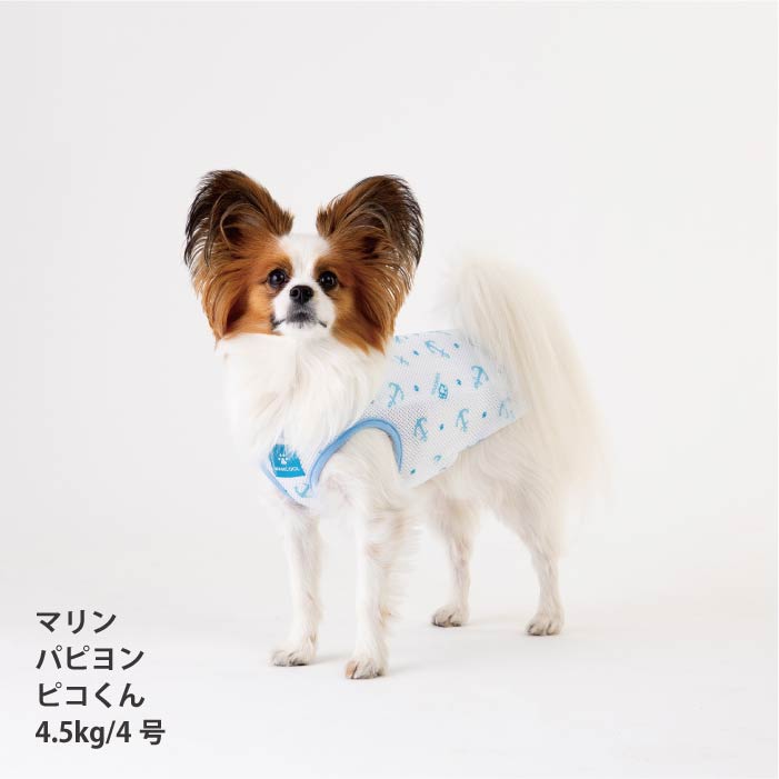 2025年春夏 小型犬 中型犬 大型犬 超大型犬 接触冷感クールベスト