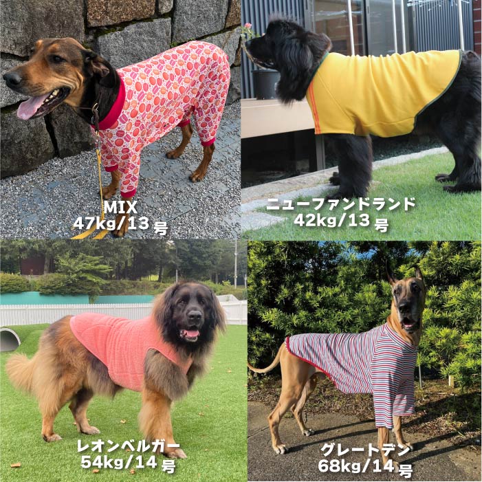 Web限定福袋<br>超大型犬3枚入<br>冬服・男女混合デザイン<br>※返品 交換不可 - VERY-PET