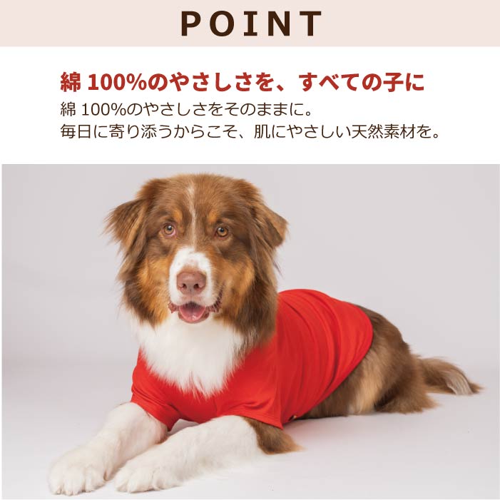 コットンTシャツ　無地・ボーダー【綿100%】大型犬 - VERY-PET