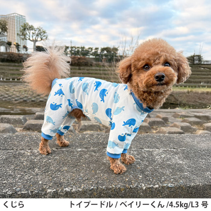 小型～超大型 ダックス 胴長 [全33size展開]<br>プリントクールロンパース クジラ - VERY-PET