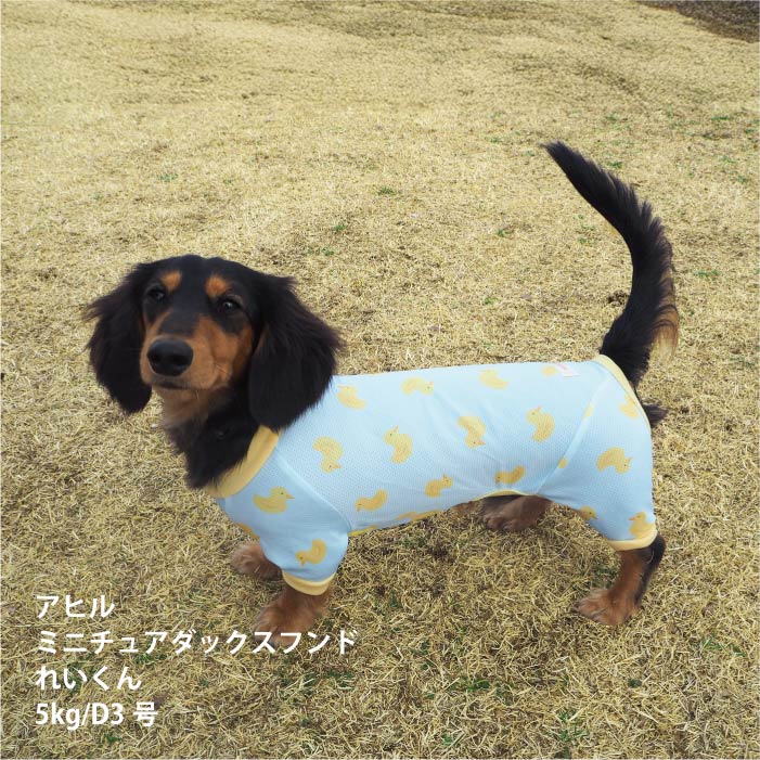 <font size="2">小型～超大型 ダックス 胴長 [全33size展開]</font><br>ポップクールロンパース アヒル - VERY-PET