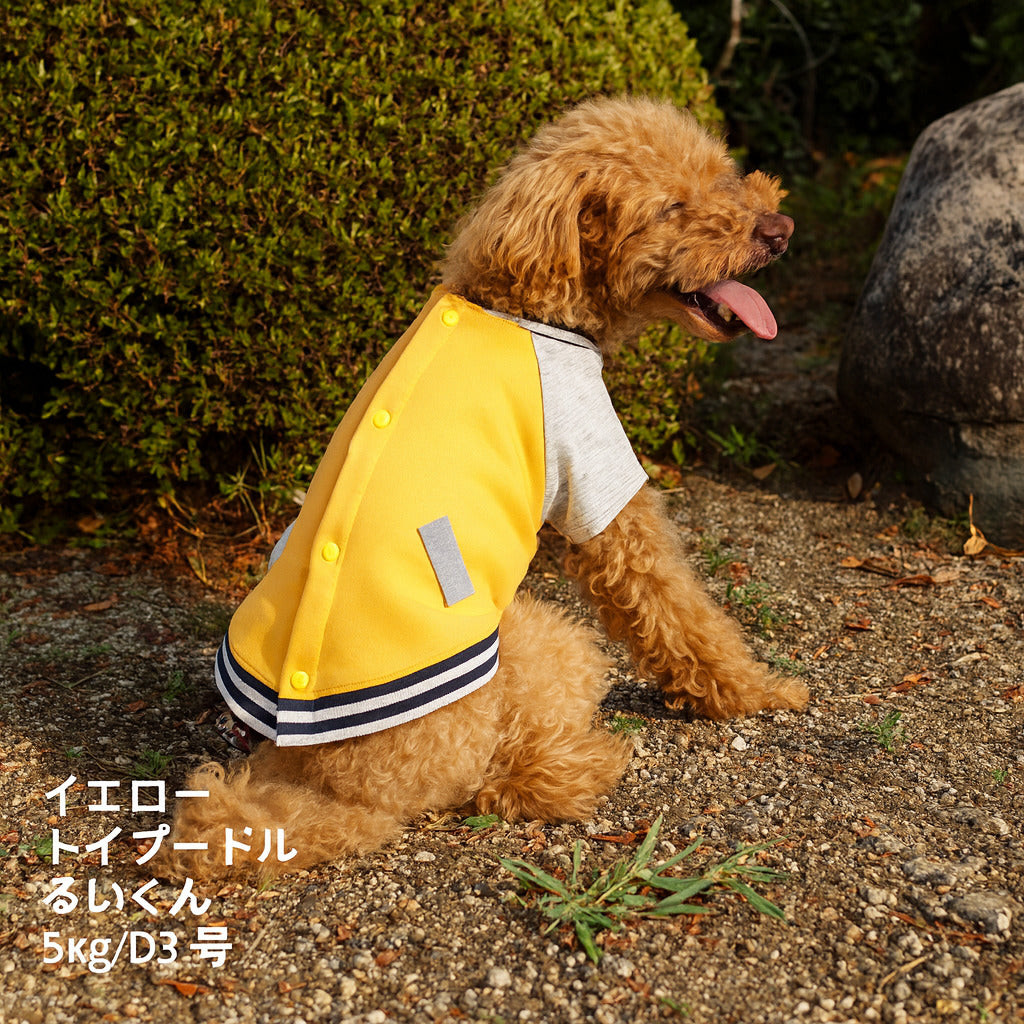 2025秋冬犬服｜小型犬 中型犬 大型犬 超大型犬 対応【スタジャン