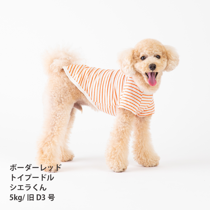 【綿100%】コットンTシャツ　小型犬・胴長・ダックス - VERY-PET