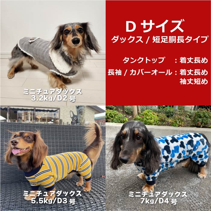 Web限定福袋<br>小型犬8枚入<br>冬服・男女混合デザイン<br>※返品 交換不可