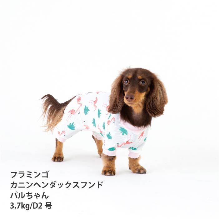 <font size="2">小型～超大型 ダックス 胴長 [全33size展開]</font><br>ポップクールロンパース フラミンゴ - VERY-PET