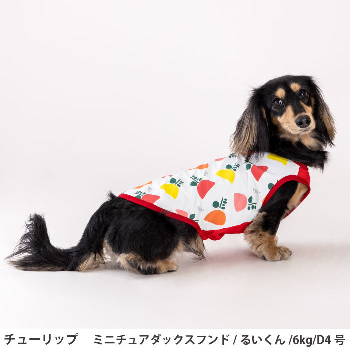 小型～超大型 ダックス 胴長 [全29size展開]<br>プリントクールタンク チューリップ - VERY-PET
