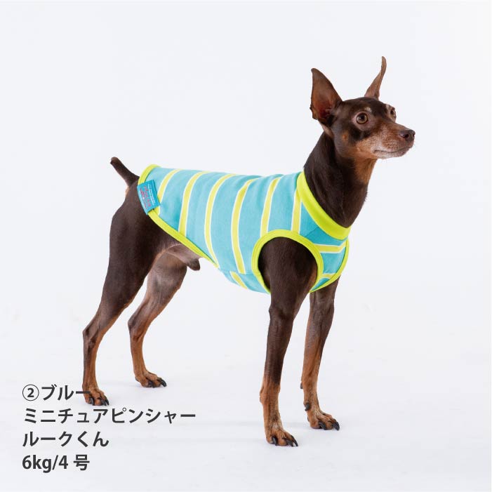 <font size="2">小型～超大型 ダックス 胴長 [全26size展開]</font><br>コットンボーダータンクトップ - VERY-PET