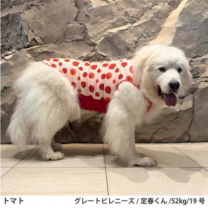 小型～超大型 プリント裏毛タンクトップ