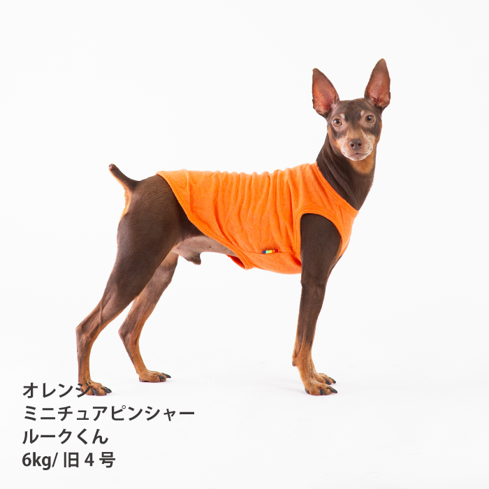 【綿100%】コットンタンクトップ　小型犬・胴長・ダックス - VERY-PET