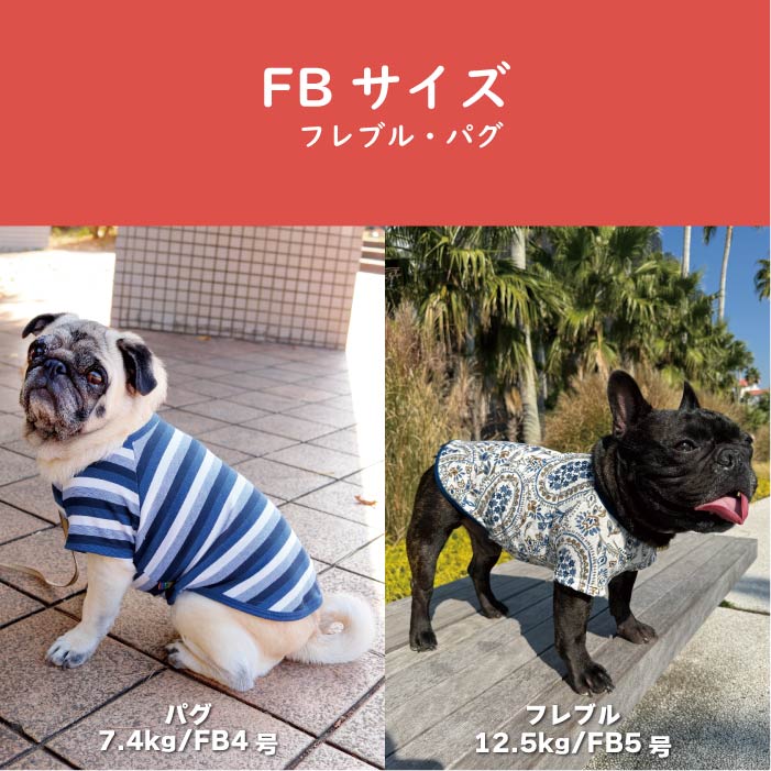 Web限定福袋<br>小型犬8枚入<br>冬服・男女混合デザイン<br>※返品 交換不可
