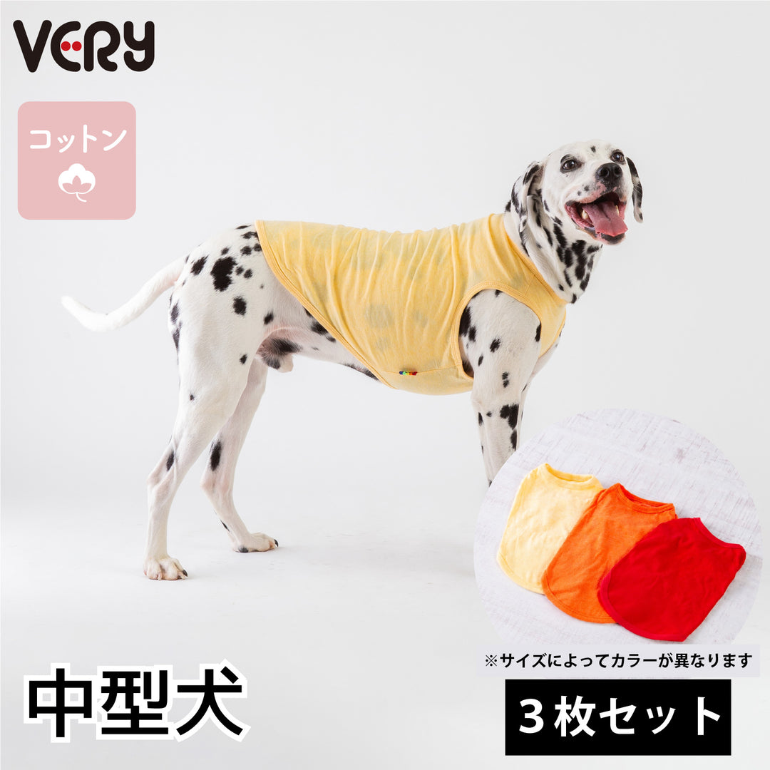 【3枚セット】 綿100% コットンウェア　中型犬-送料無料-