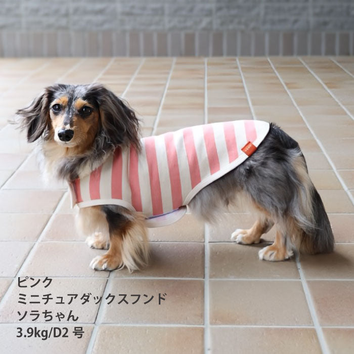 【スタイプレゼント対象商品】小型～超大型 ダックス 胴長 [全26size展開]<br>ボーダーコート - VERY-PET