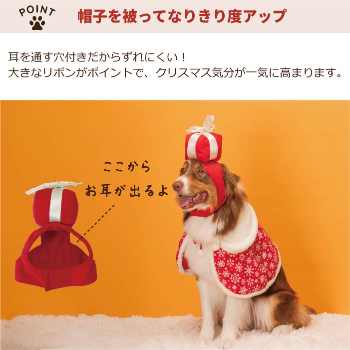 <font size="3">超大型犬</font> <br>クリスマスコスチューム プレゼントセット