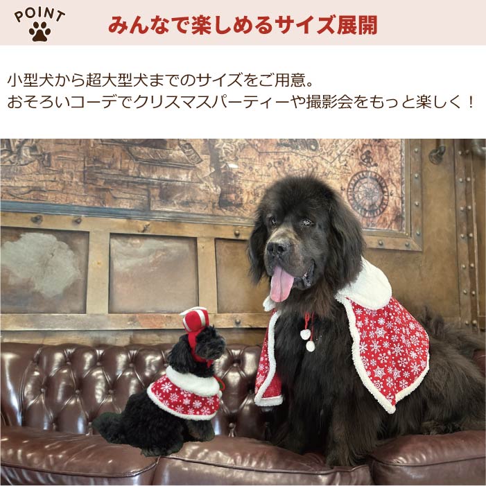 <font size="3">超大型犬</font> <br>クリスマスコスチューム プレゼントセット