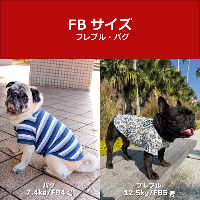 Web限定福袋<br>小型犬8枚入<br>冬服・男女混合デザイン<br>※返品 交換不可