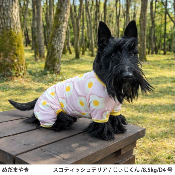 小型～超大型 ダックス 胴長 [全33size展開]<br>プリントクールロンパース めだまやき - VERY-PET