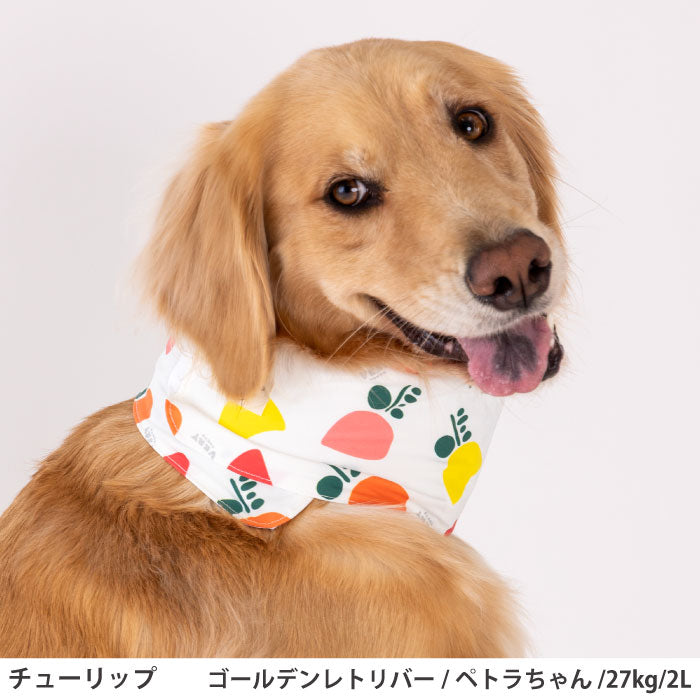 全犬種対応 全5size 熱中症対策に！専用やわらか保冷剤付 接触冷感