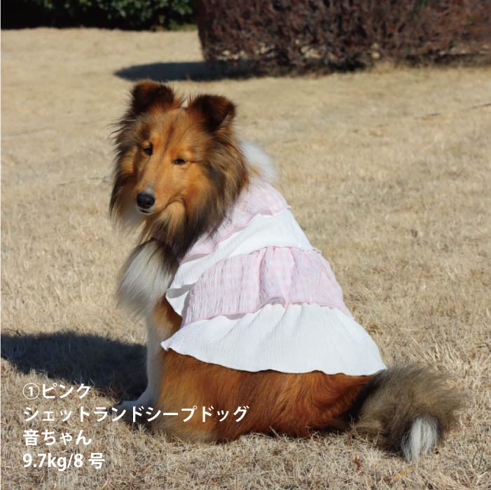 <font size="2">小型 中型 ダックス 胴長 [全14size展開]</font><br>クールフリルワンピース - VERY-PET