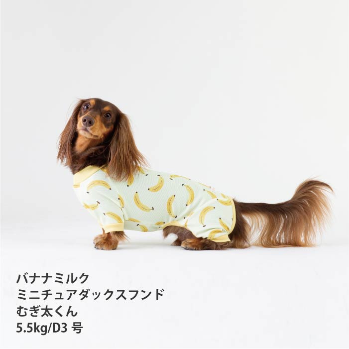 <font size="2">小型～超大型 ダックス 胴長 [全33size展開]</font><br>ポップクールロンパース バナナミルク