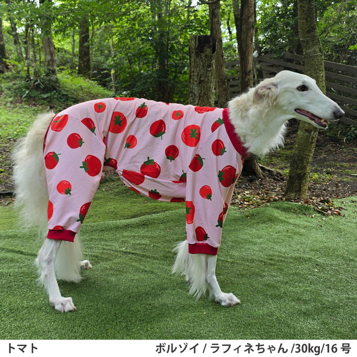 小型～超大型 プリント裏毛ロンパース