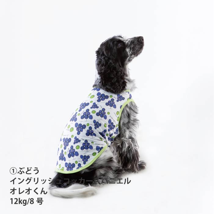 <font size="2">小型 中型 ダックス 胴長 [全14size展開]</font><br>【コルナムコラボ】クールタンクトップ - VERY-PET
