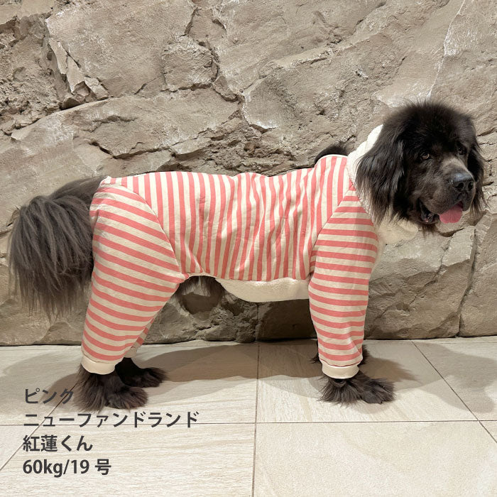 【スタイプレゼント対象商品】小型～超大型 ダックス 胴長 [全32size展開]<br>裏起毛フード付きボーダーロンパース