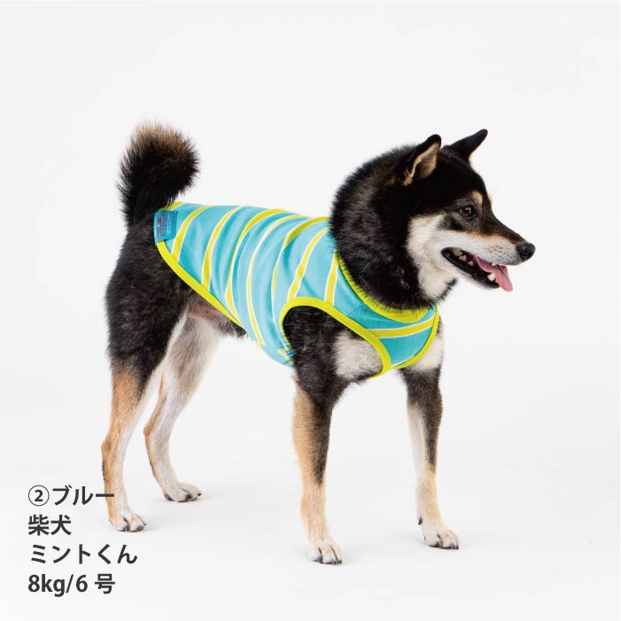 <font size="2">小型～超大型 ダックス 胴長 [全26size展開]</font><br>コットンボーダータンクトップ - VERY-PET