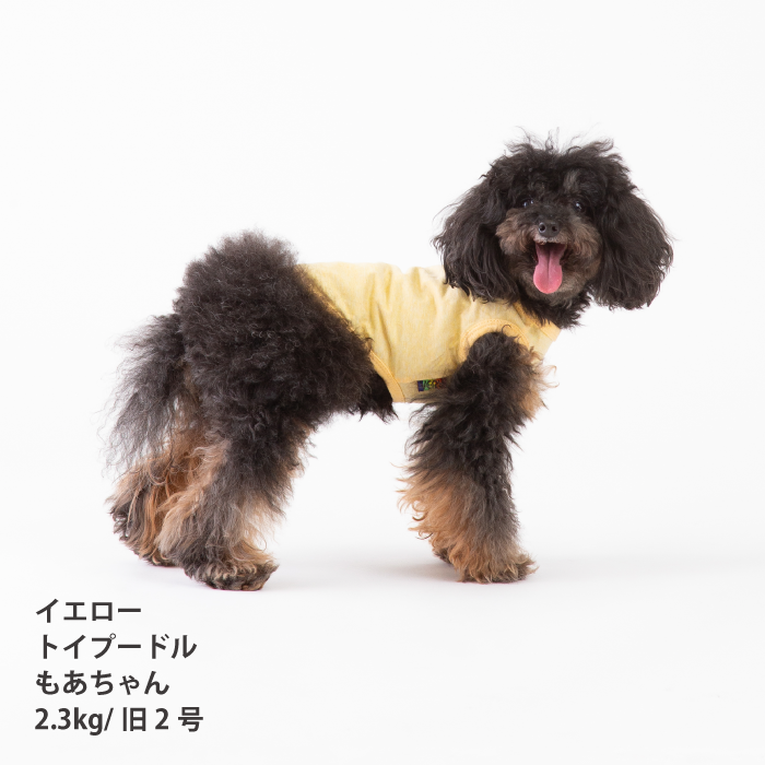 【綿100%】コットンタンクトップ　小型犬・胴長・ダックス - VERY-PET