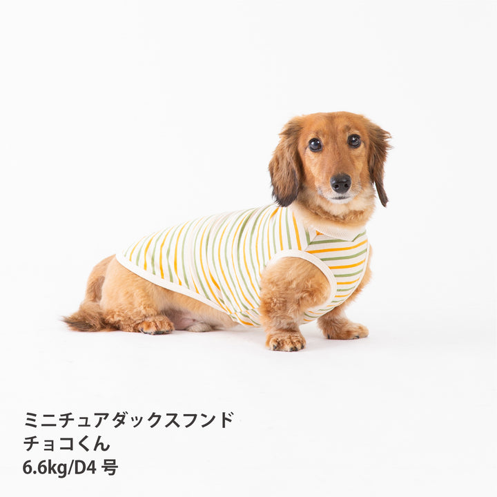 犬服 春夏福袋 小型犬6枚入